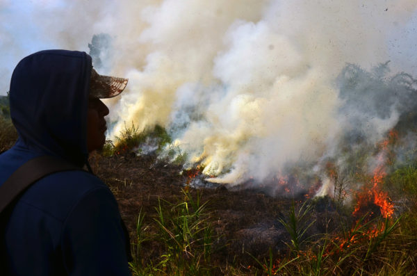 Seorang warga mengamati kebakaran lahan di Kecamatan Rumbai Kota Pekanbaru, Riau, Kamis (10/3). Pemerintah Provinsi Riau menetapkan status Siaga Darurat Kebakaran Lahan dan Hutan sejak 7 Maret lalu selama tiga bulan ke depan, dengan pertimbangan potensi kebakaran lahan dan hutan di Riau yang semakin meluas karena faktor kemarau yang tidak normal dan masih adanya pembukaan lahan dengan membakar. ANTARA FOTO/Wahyudi/FBA/nz/16.